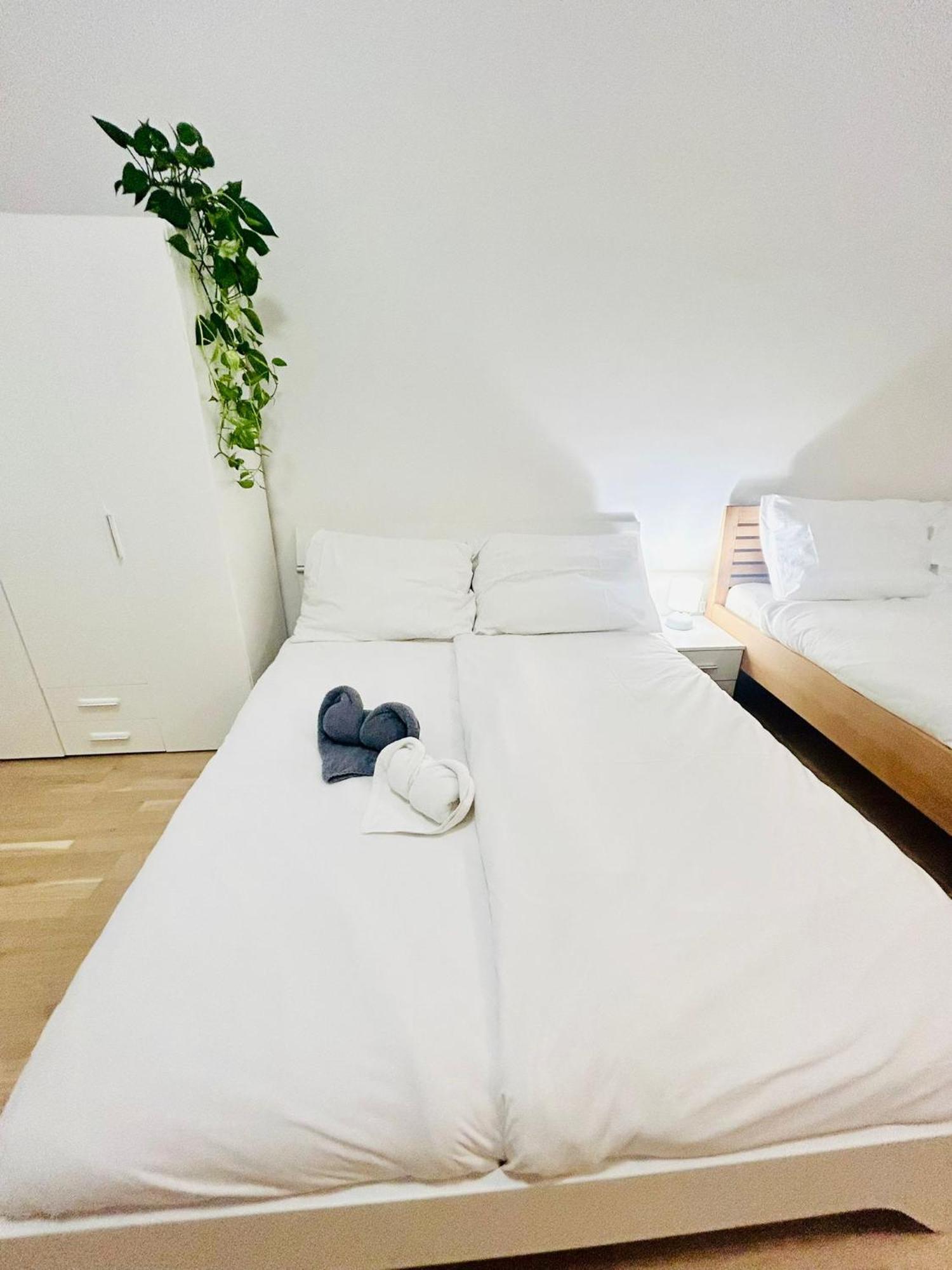 New Design & Style Apartments 50M From Wenceslas Square Praga Esterno foto